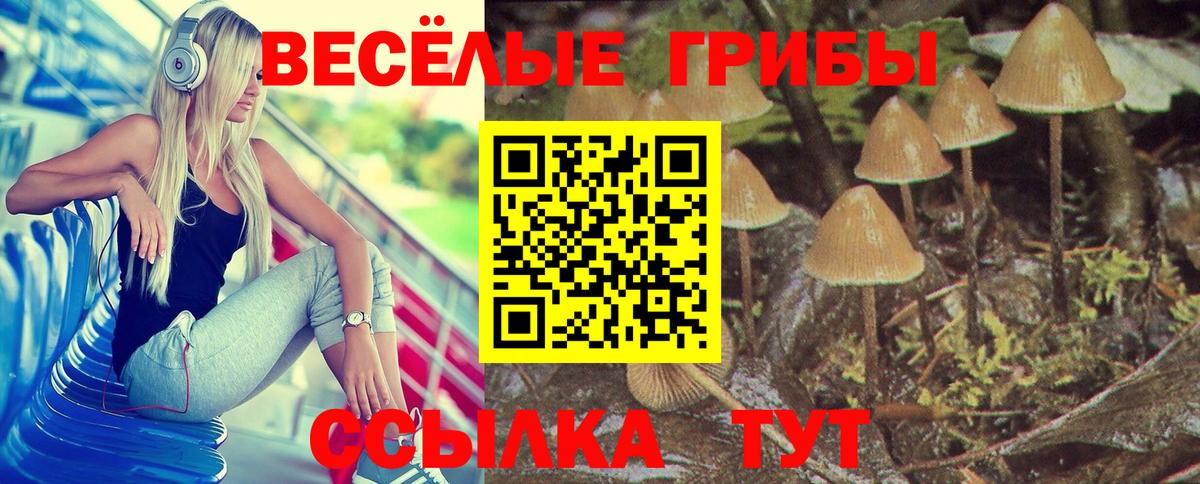Псилоцибиновые грибы мухоморы  цены   Нягань  Вход с VPN 